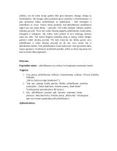 Kaip pilietiškumas reiškiasi skirtingų laikotarpių Lietuvos literatūroje 3 puslapis