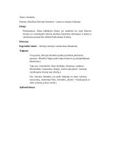 Išeivijos literatūra - Lietuvos istorijos liudytoja (kalba) 4 puslapis