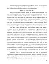 Kvaziteismo samprata 4 puslapis
