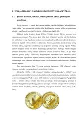 UAB ,,Aternos” gamybos organizavimas   6 puslapis