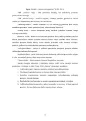 UAB ,,Aternos” gamybos organizavimas   7 puslapis