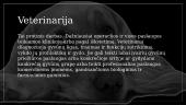 Skaidrės apie veterinariją 3 puslapis