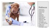 Skaidrės apie veterinariją 5 puslapis