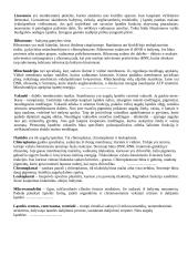 Eukariotinių ląstelių sandara 2 puslapis