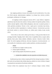 Bendravimo ypatumai su fizinę negalia turinčiais asmenimis  2 puslapis