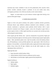 Bendravimo ypatumai su fizinę negalia turinčiais asmenimis  3 puslapis