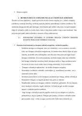 Bendravimo ypatumai su fizinę negalia turinčiais asmenimis  4 puslapis