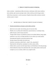 Bendravimo ypatumai su fizinę negalia turinčiais asmenimis  9 puslapis