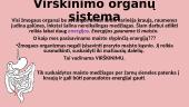 Virškinimo organų sistema (skaidrės) 2 puslapis