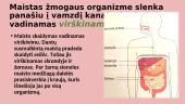 Virškinimo organų sistema (skaidrės) 3 puslapis