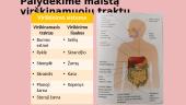 Virškinimo organų sistema (skaidrės) 4 puslapis