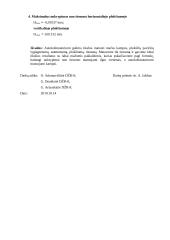 Autokolimatoriaus tyrimas 3 puslapis