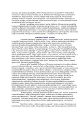 K. Donelaičio "Metai" interpretacija 2 puslapis