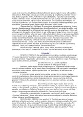 K. Donelaičio "Metai" interpretacija 3 puslapis