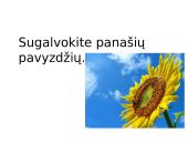 Tarinys ir jo rūšys 12 puslapis