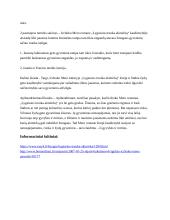 Išplėstinio plano forma. Šiurpi Vilniaus žydų geto kasdienybė I. Mero romane „Lygiosios trunka akimirką“ 2 puslapis