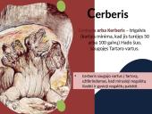 Graikų terminų reikšmė ir kilmė (mitas) 8 puslapis