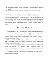 Valstybės tarnautojų profesinė etika 4 puslapis