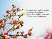 Knygos pristatymas. Maironis ,,Lyrika'' 2 puslapis