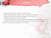 Knygos pristatymas. Maironis ,,Lyrika'' 5 puslapis