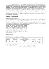 Briusterio kampo nustatymas ir eksperimentinis Maliu dėsnio patikrinimas 2 puslapis