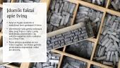 Gyvsidabris, cinkas, švinas 8 puslapis