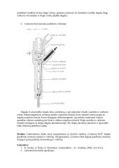Common Rail įpurškimo sistema 3 puslapis