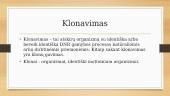 Klonavimas (skaidrės) 2 puslapis