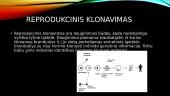 Klonavimo rūšys 3 puslapis