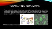 Klonavimo rūšys 4 puslapis