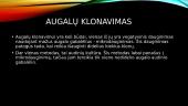 Klonavimo rūšys 7 puslapis