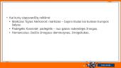 Aukštaičių rašytojų slapyvardžių kilmė (skaidrės) 10 puslapis