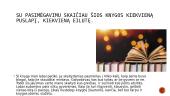 Vilko kauksmas - knygos pristatymas 12 puslapis