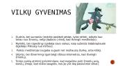 Vilko kauksmas - knygos pristatymas 9 puslapis