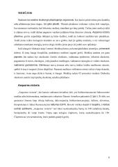 Medūzų įkvėptas „Aequorea“ projektas. Kūrybiniai procesai inžinerijoje  3 puslapis