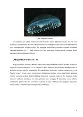 Medūzų įkvėptas „Aequorea“ projektas. Kūrybiniai procesai inžinerijoje  4 puslapis