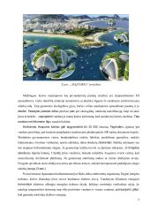 Medūzų įkvėptas „Aequorea“ projektas. Kūrybiniai procesai inžinerijoje  5 puslapis