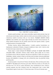 Medūzų įkvėptas „Aequorea“ projektas. Kūrybiniai procesai inžinerijoje  6 puslapis