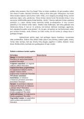 Ar šiandien garbingumas tebėra vertybė? rašinys 2 puslapis