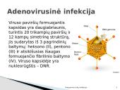 Kvėpavimo takų infekcijos 15 puslapis