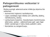 Kvėpavimo takų infekcijos 16 puslapis