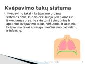 Kvėpavimo takų infekcijos 3 puslapis