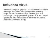 Kvėpavimo takų infekcijos 5 puslapis