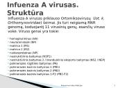 Kvėpavimo takų infekcijos 6 puslapis