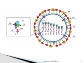 Kvėpavimo takų infekcijos 7 puslapis