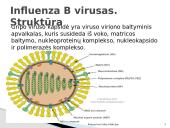 Kvėpavimo takų infekcijos 8 puslapis
