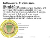 Kvėpavimo takų infekcijos 9 puslapis
