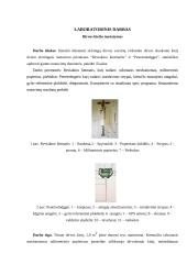 Dirvos kiečio nustatymas 2 puslapis