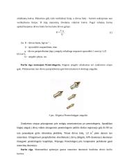 Dirvos kiečio nustatymas 3 puslapis