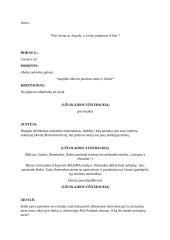 Šimtadienio programa 5 puslapis